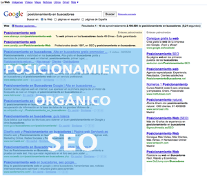 Posicionamiento Organico, SEO